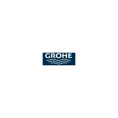 Mousseur Grohe 06574DC0 3 Mousseur Grohe 06574DC0