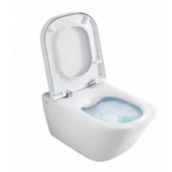 Pack WC Grohe Rapid SL + Cuvette GAP Cleanrim Roca + Plaque Blanche 11 Pack WC Grohe Rapid SL + Cuvette GAP Cleanrim Roca + Plaque Blanche -GROHE Soldes 3294105 5