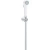 Grohe Tempesta-F Trigger Spray 30 Support De Douche Mural 1 Jet, Chromé/blanc (27812IL1)